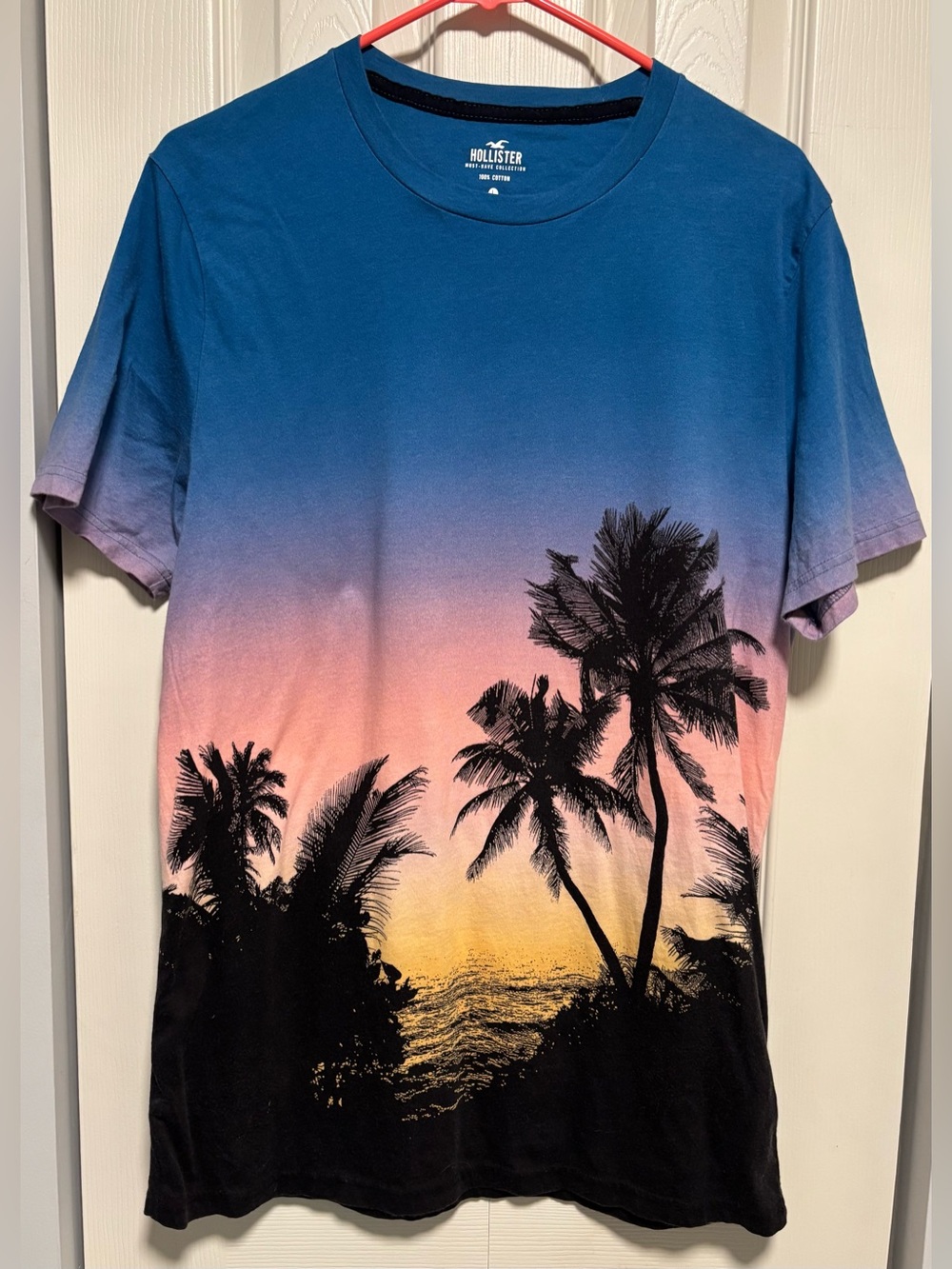 Hollister Tropical Beach Short Sleeved Tee Shirt